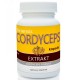 Cordyceps extrakt (60 kapslí)