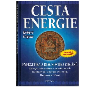 Cesta energie