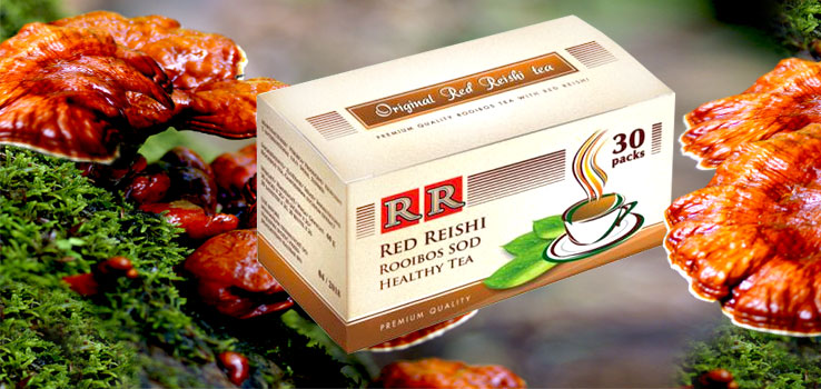 red reishi čaj